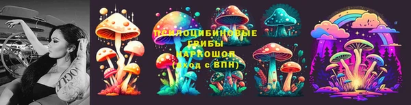 марки lsd Бородино